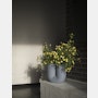 Kink Vase