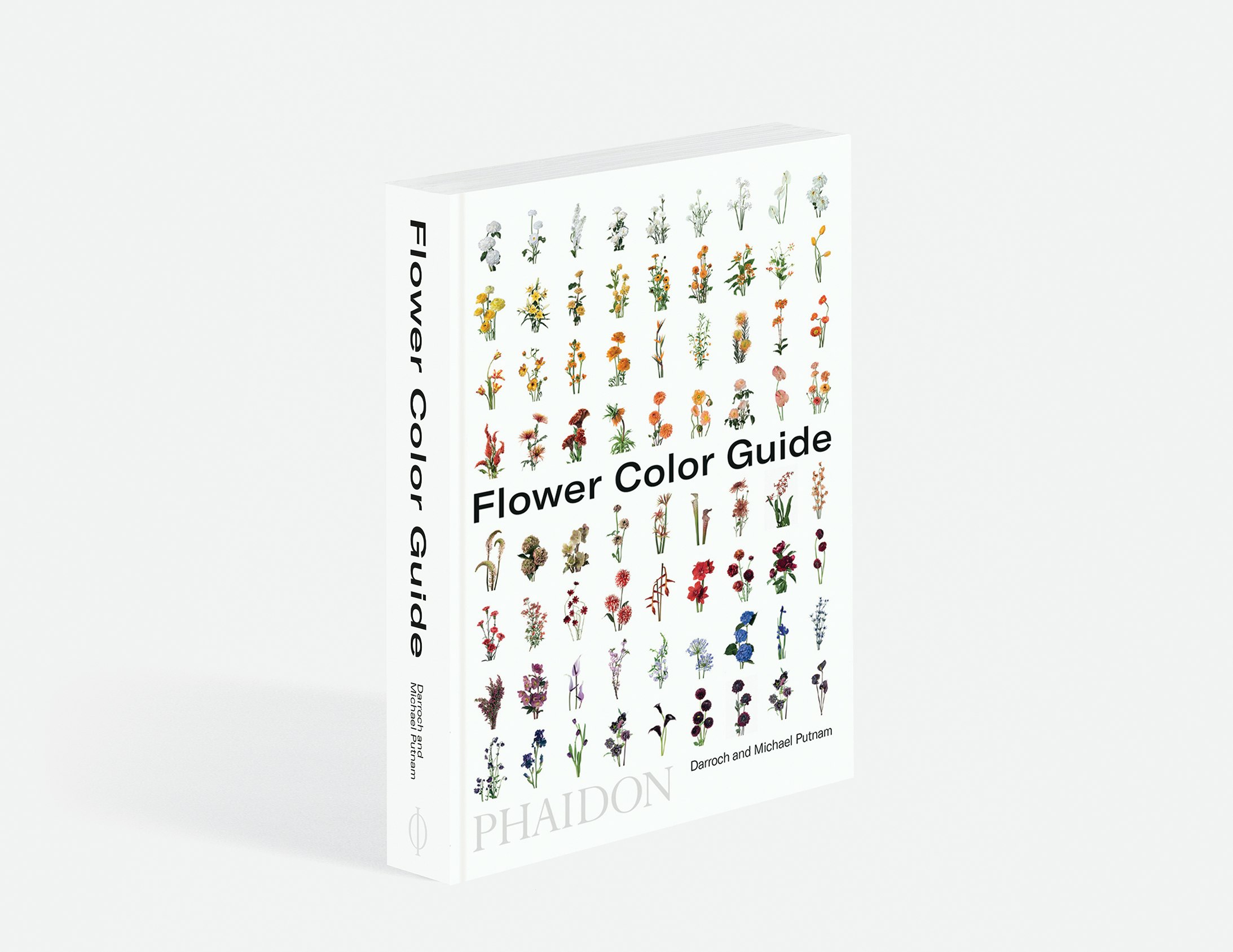 Flower Color Guide