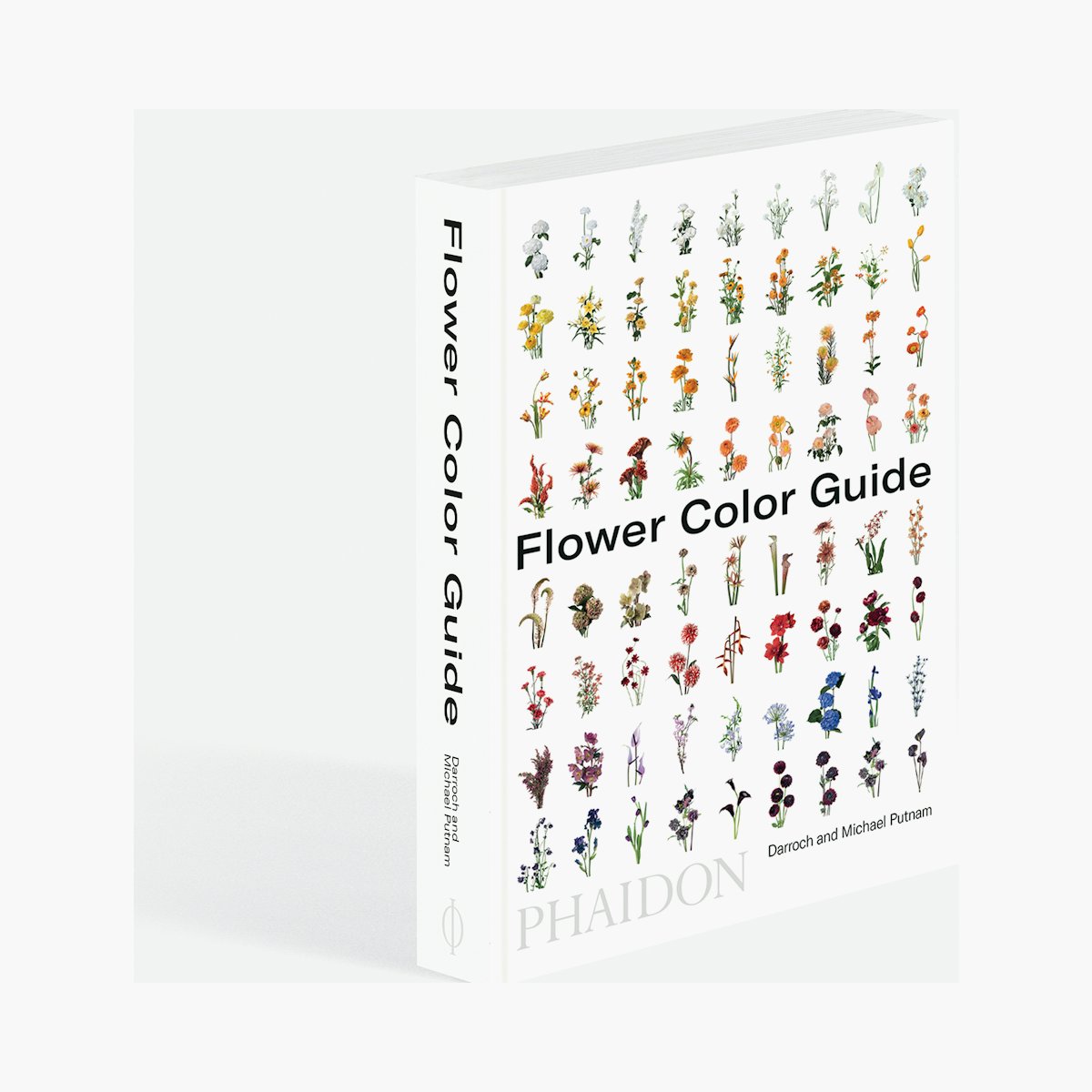 Flower Color Guide