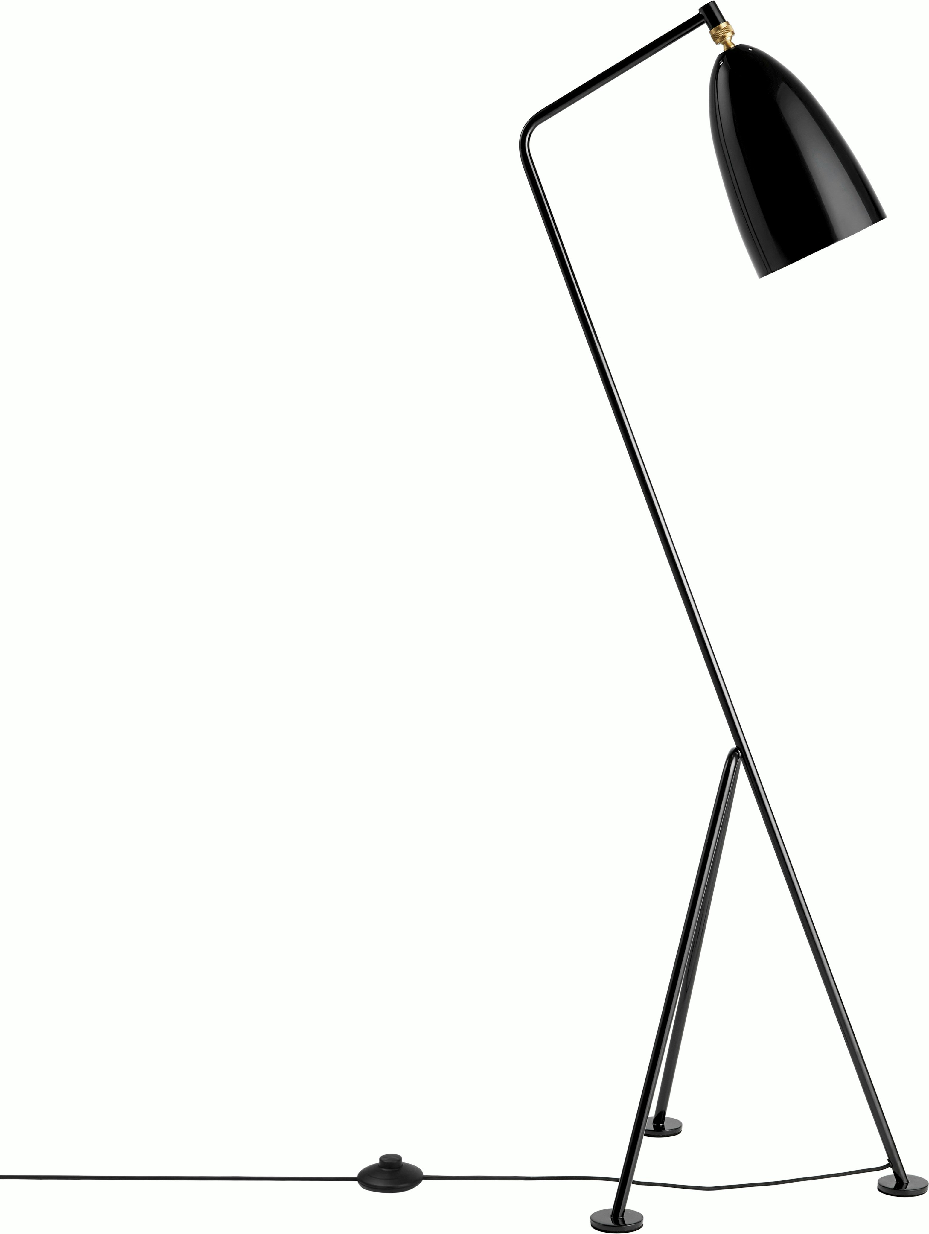 Grasshopper Floor Lamp