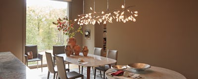Heracleum Lighting Collection