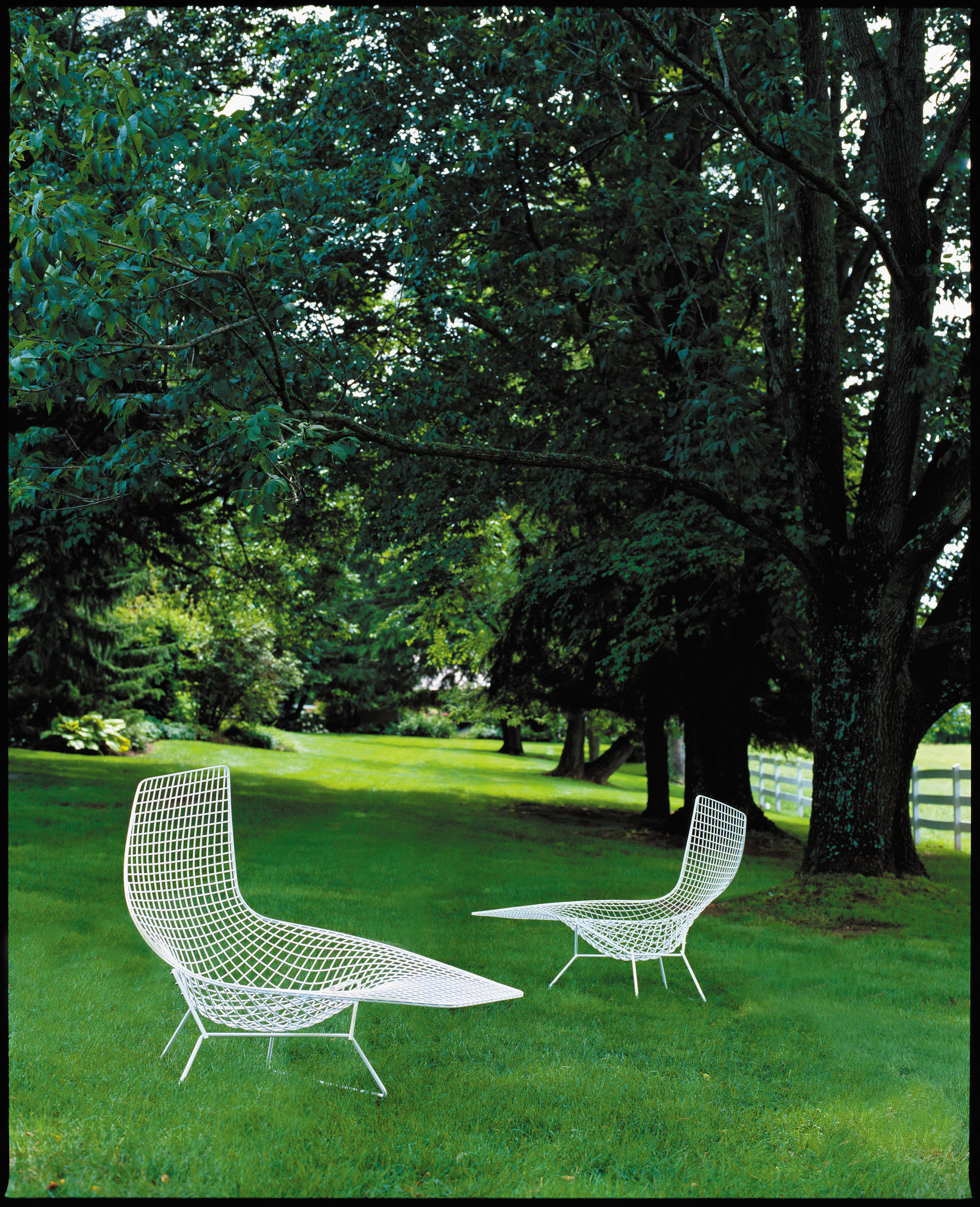 Bertoia Asymmetric Chaise Lounge Chair in white