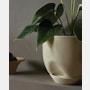 Hydrous Planter