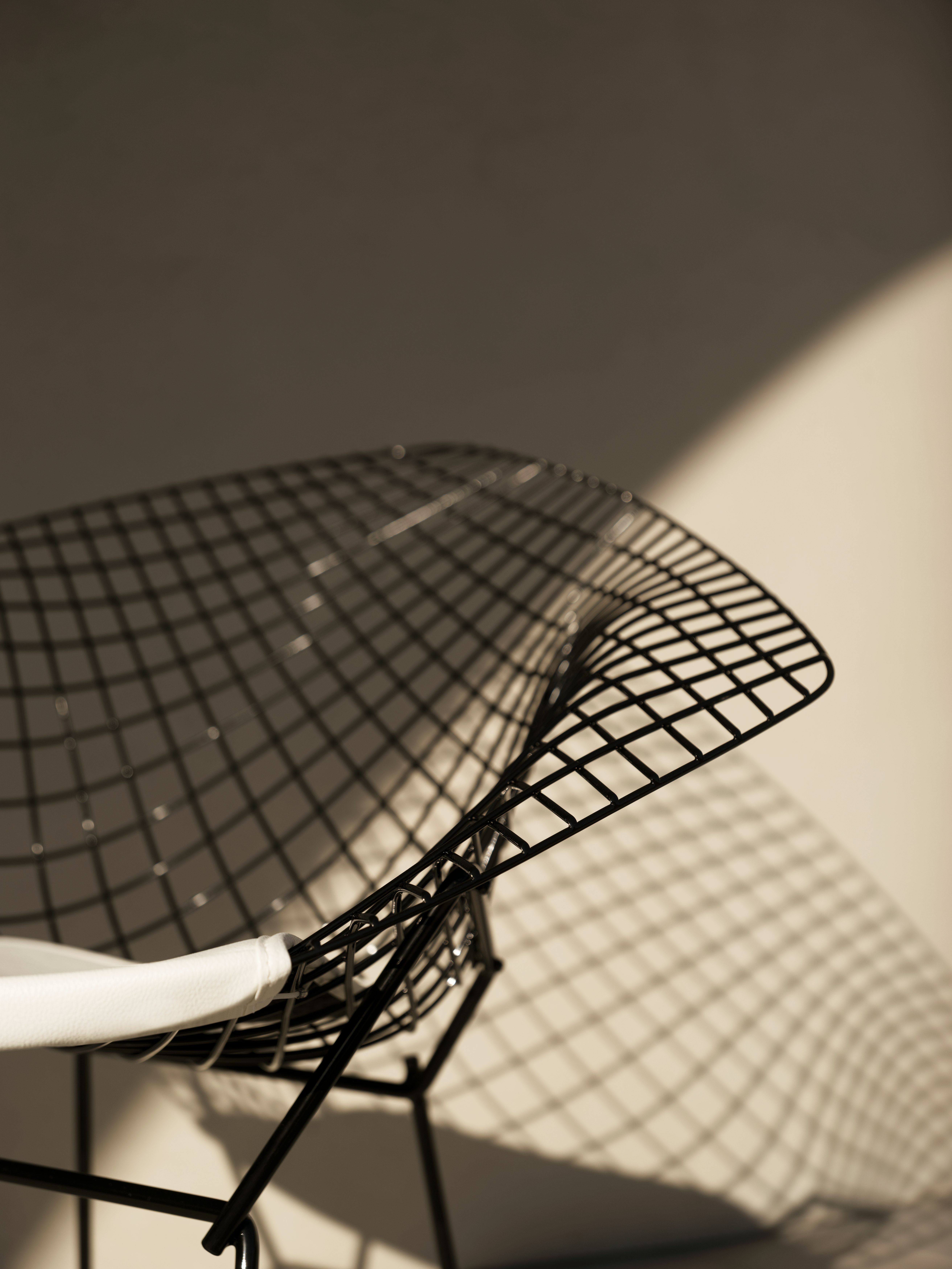 Bertoia Diamond Outdoor Lounge Chair in black and white