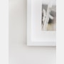 Cas Friese Photography Collection