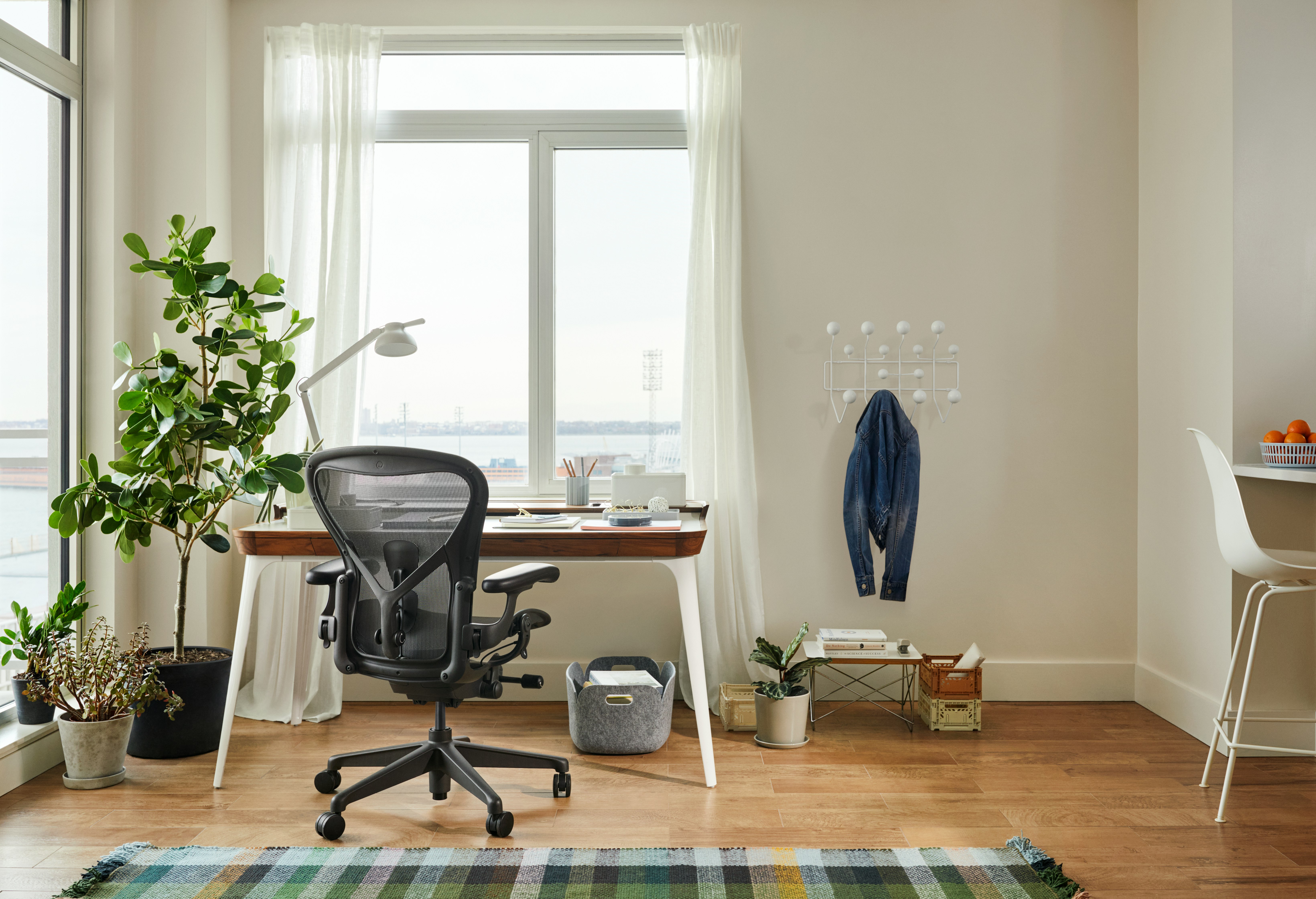 Aeron in a home office