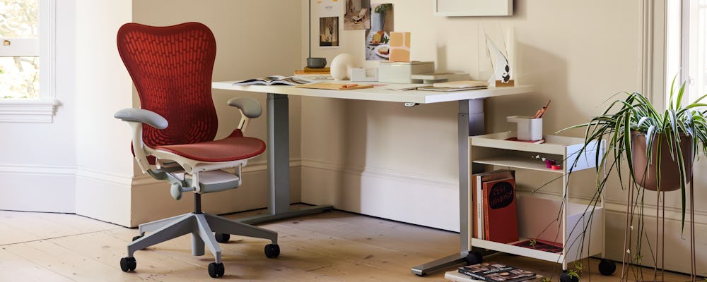 Mirra 2 Chair,  Renew Sit-To-Stand Desk,  OE1 Trolley,  Nelson Face Print