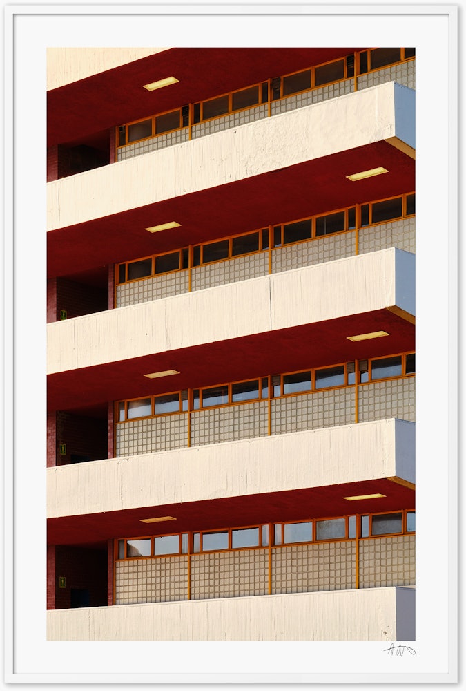 Untitled (UNAM II),  Mexico City,  2024  - 40x60