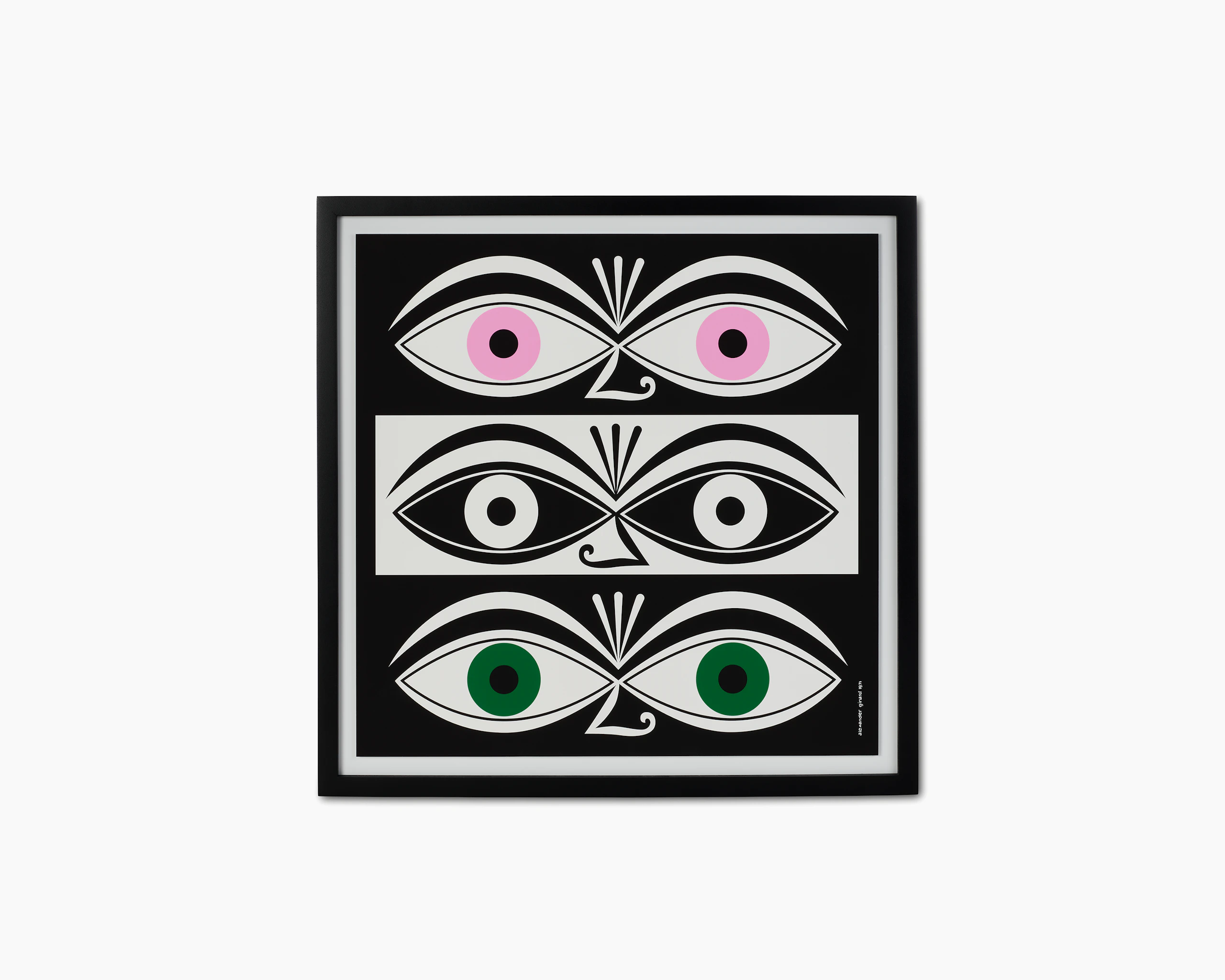 Girard Environmental Enrichment Poster - Eyes - black and white poster with colorful eyes