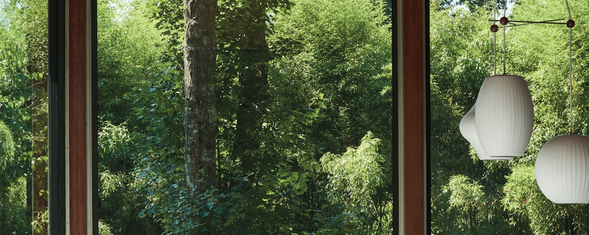 Nelson Triple Bubble Fixture