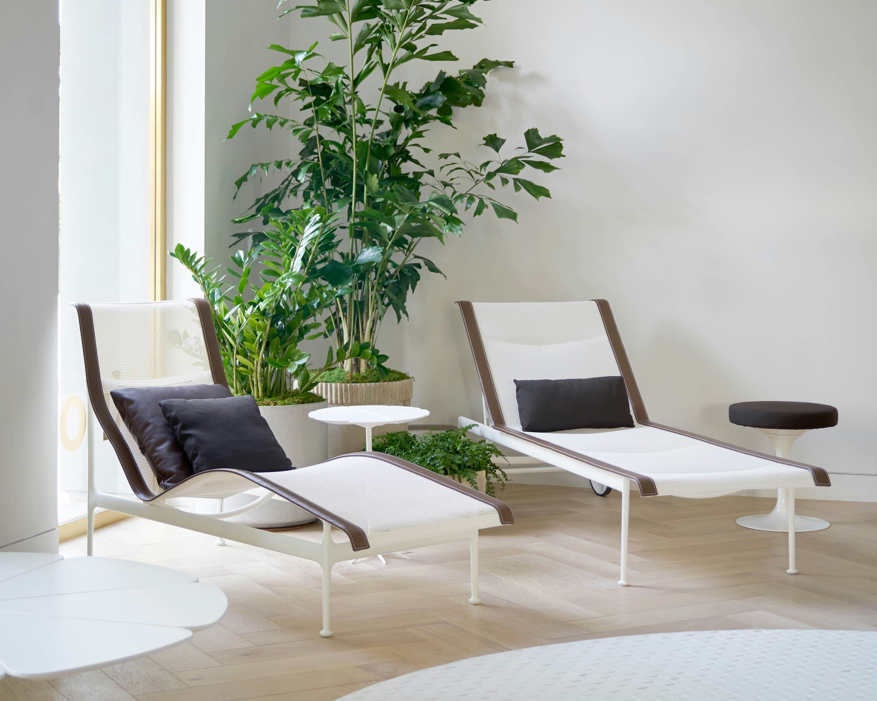 Los Angeles Home Design Shop Outdoor with 1966 Chaise Lounge