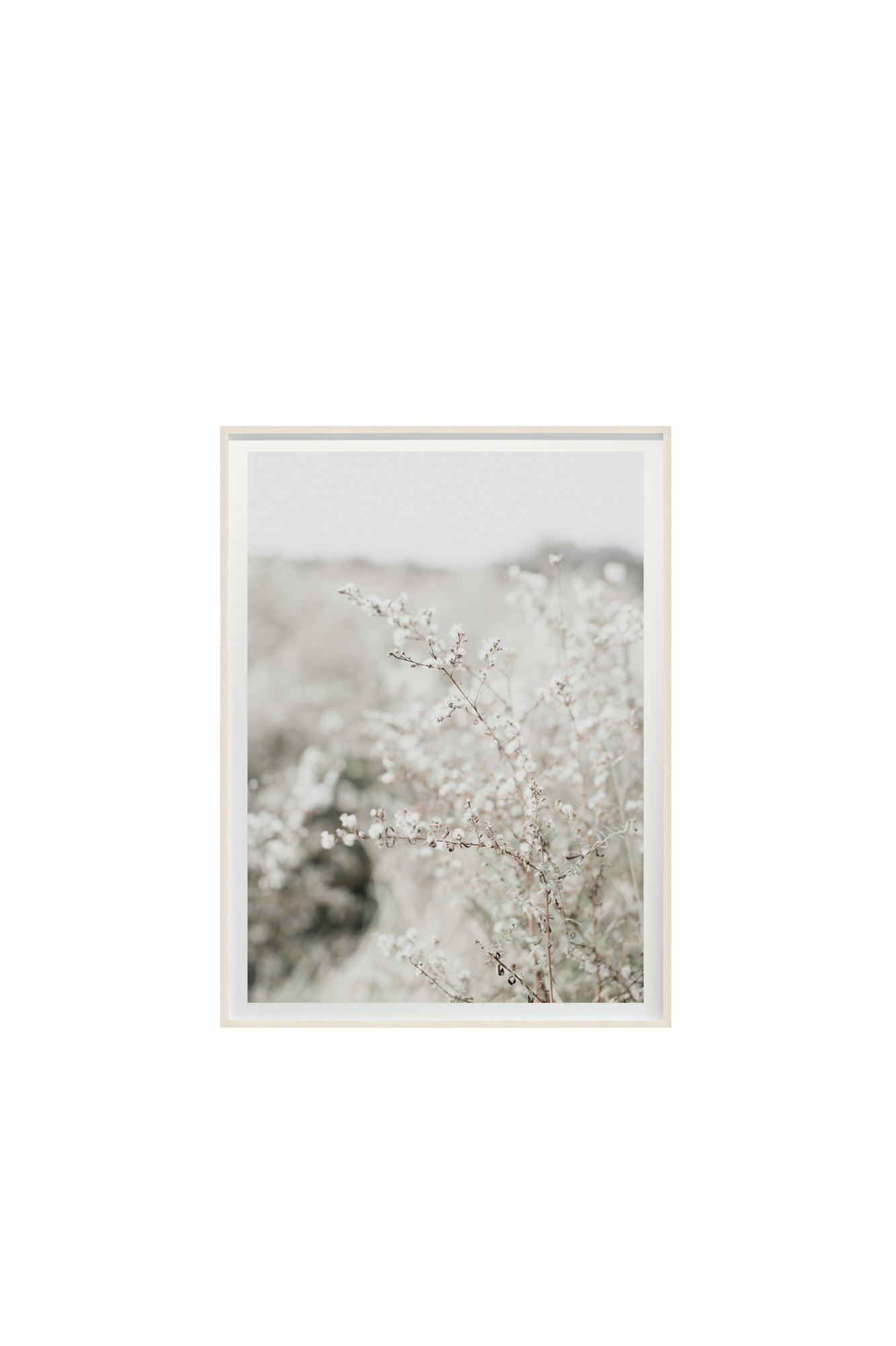 Fields and Flora No. 5664 by Cas Friese - 30x40