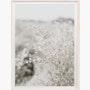 “Fields + Flora No. 5664” by Cas Friese “Fields + Flora No. 5664” by Cas Friese