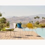 Bertoia Molded Shell Side Chair