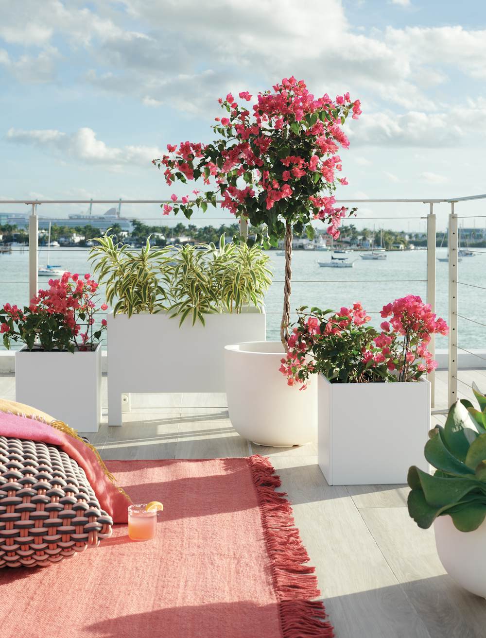 Loll Planters, Elevated and Cube in an outdoor patio setting