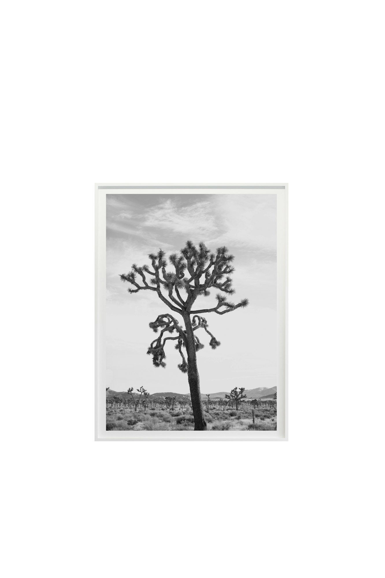 Jagged No. 3651 by Cas Friese,  30 x 40,  White Frame