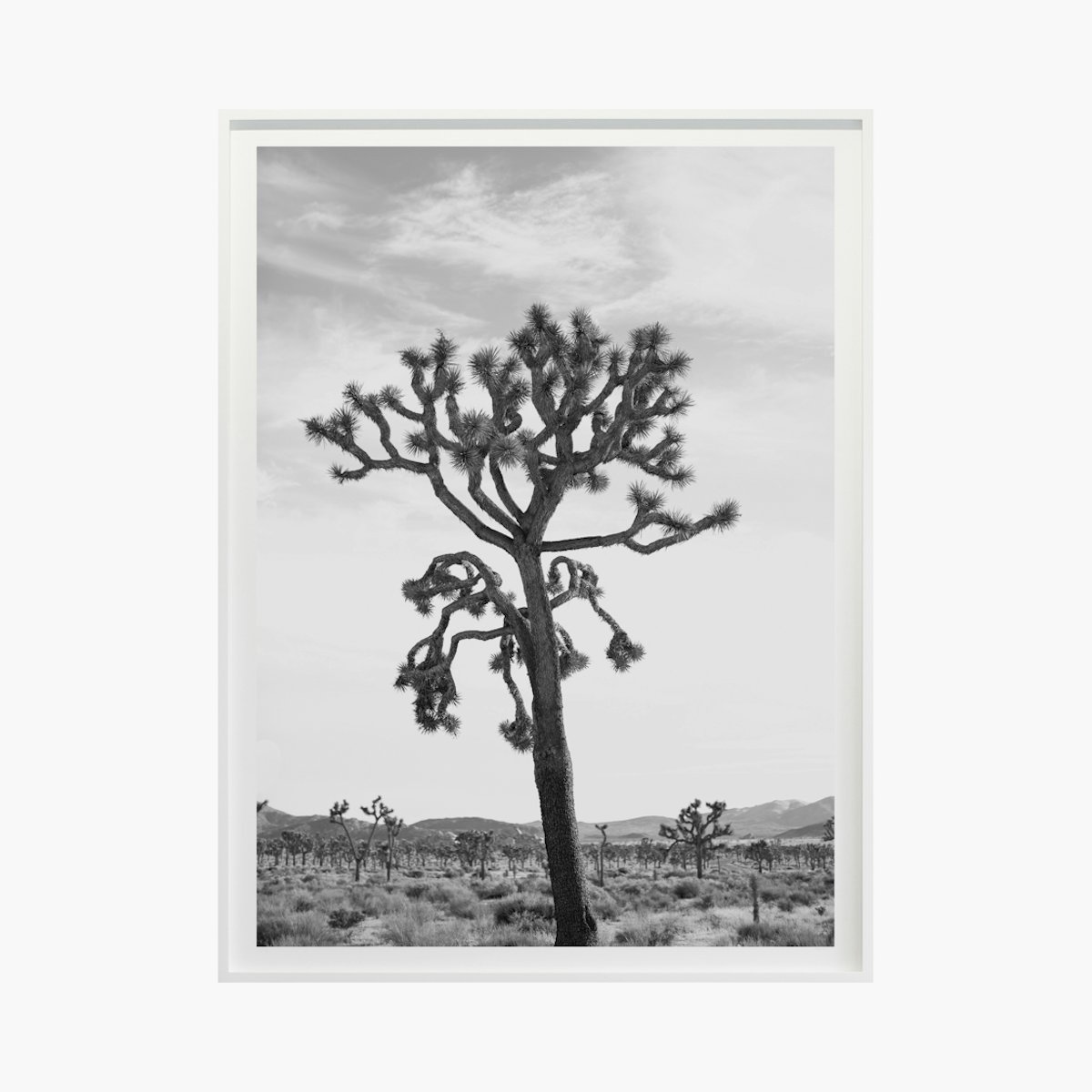 Jagged No. 3651 by Cas Friese Jagged No. 3651 by Cas Friese
