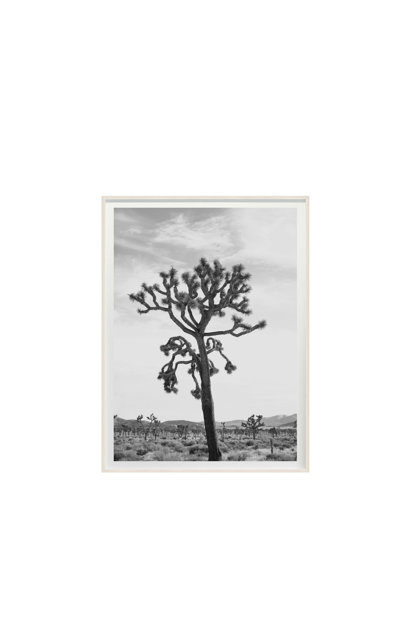 Jagged No. 3651 by Cas Friese,  30 x 40,  Maple Frame