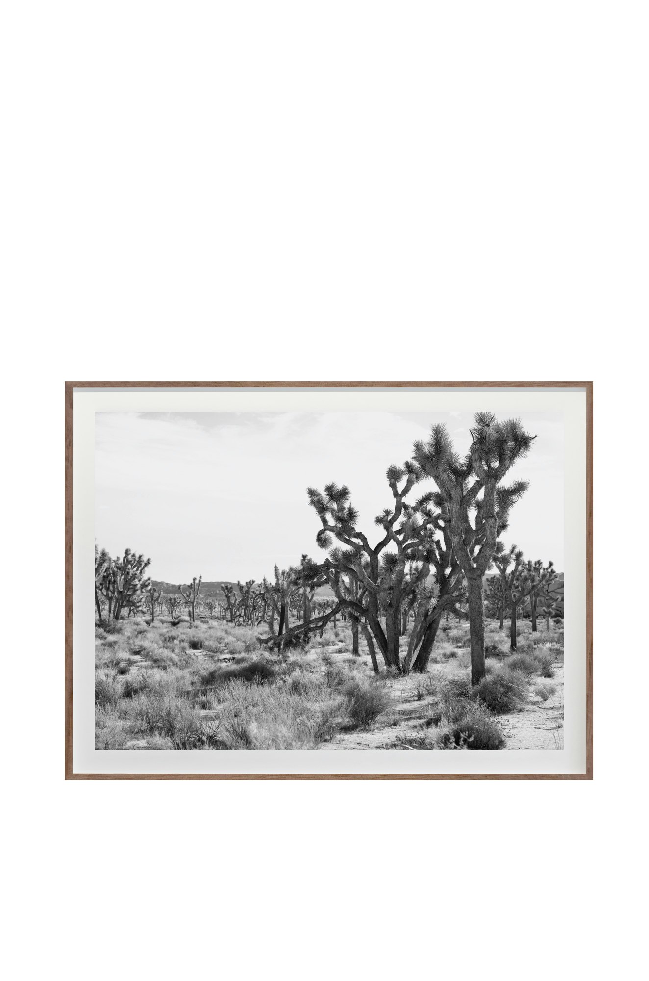 Jagged No. 3645 by Cas Friese,  30 x 40,  Walnut Frame