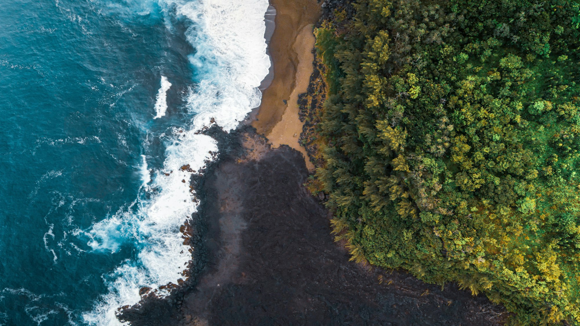 Better World Report MillerKnoll