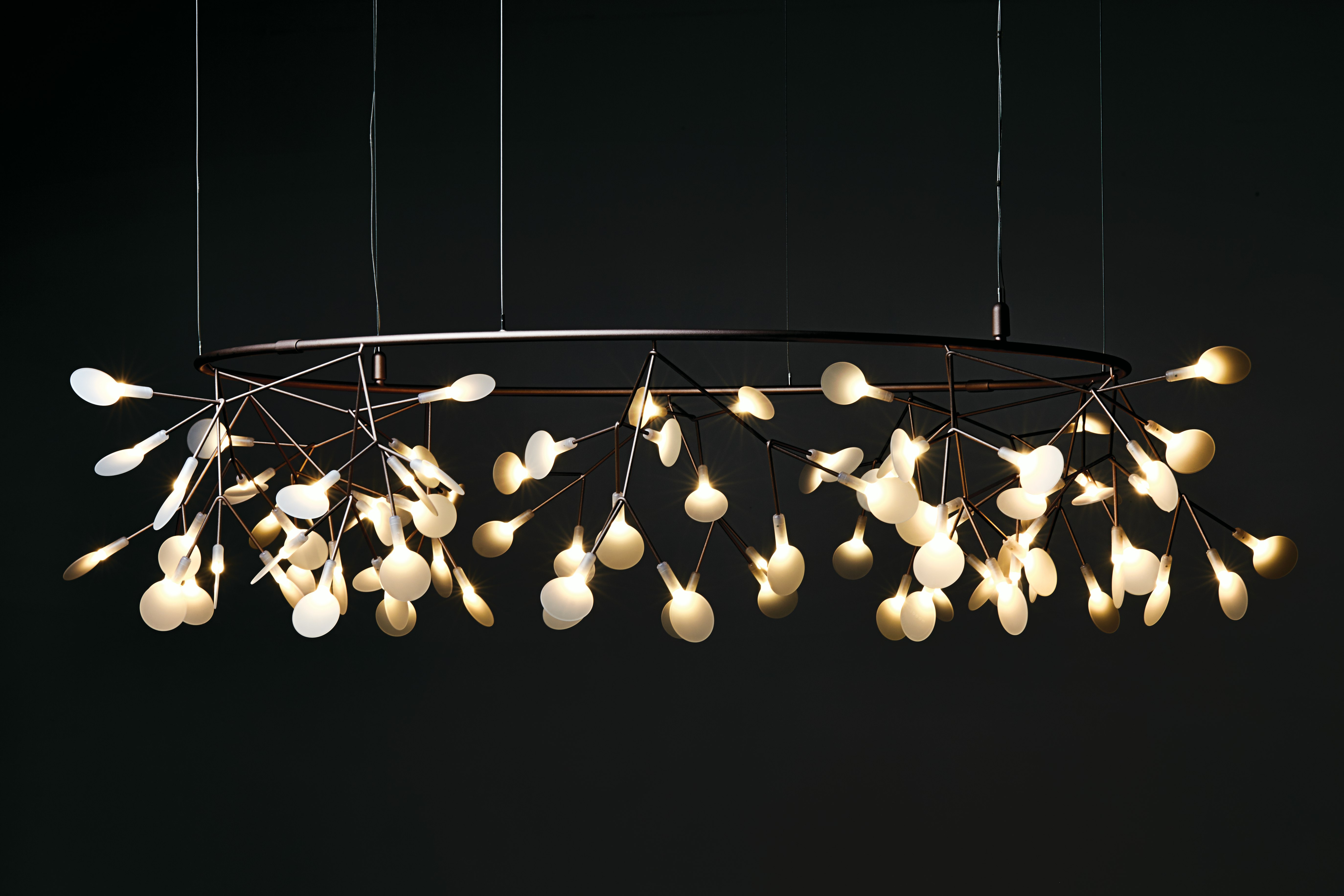 Heracleum III The Big O Pendant