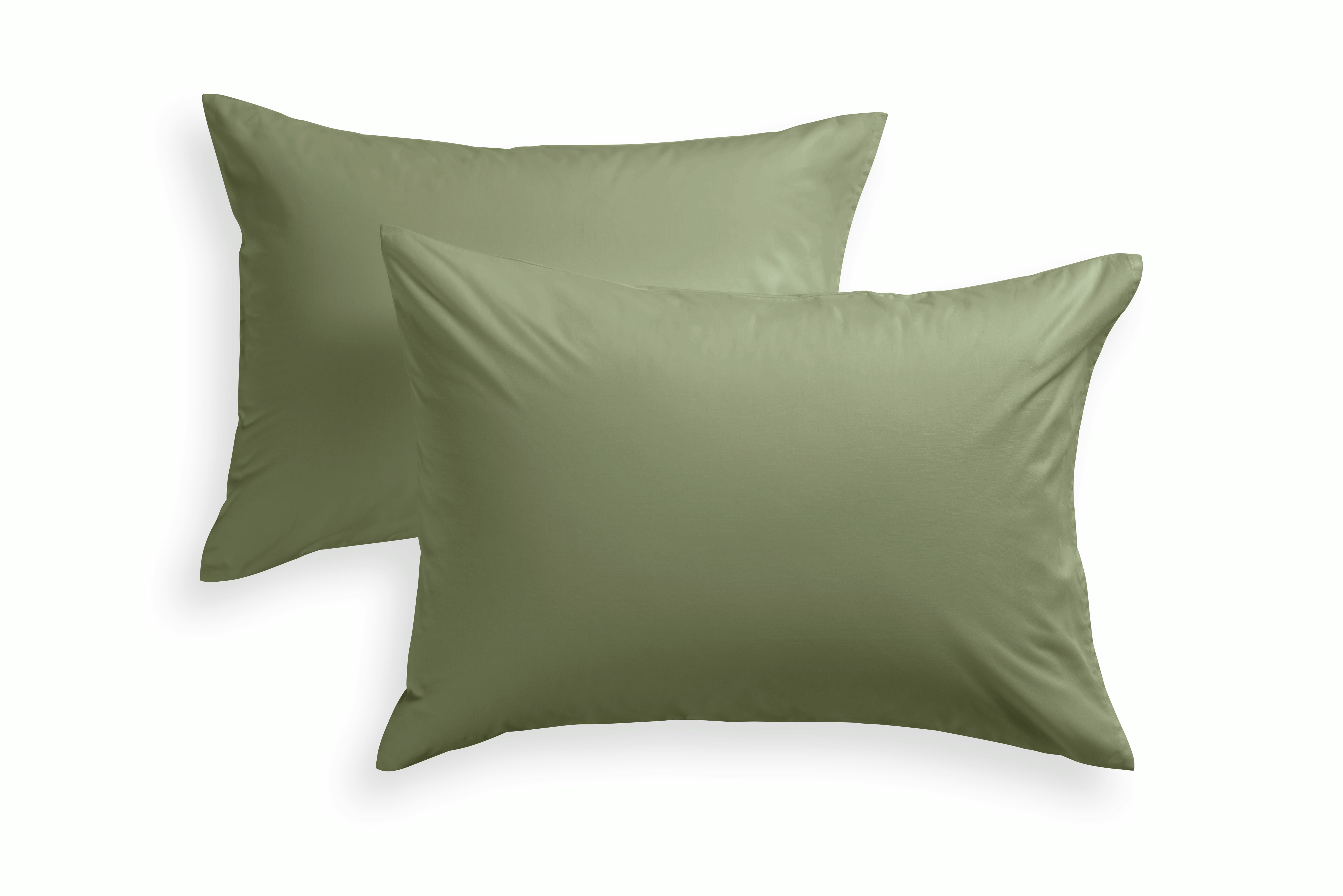 Design Within Reach Sham Pair - Percale