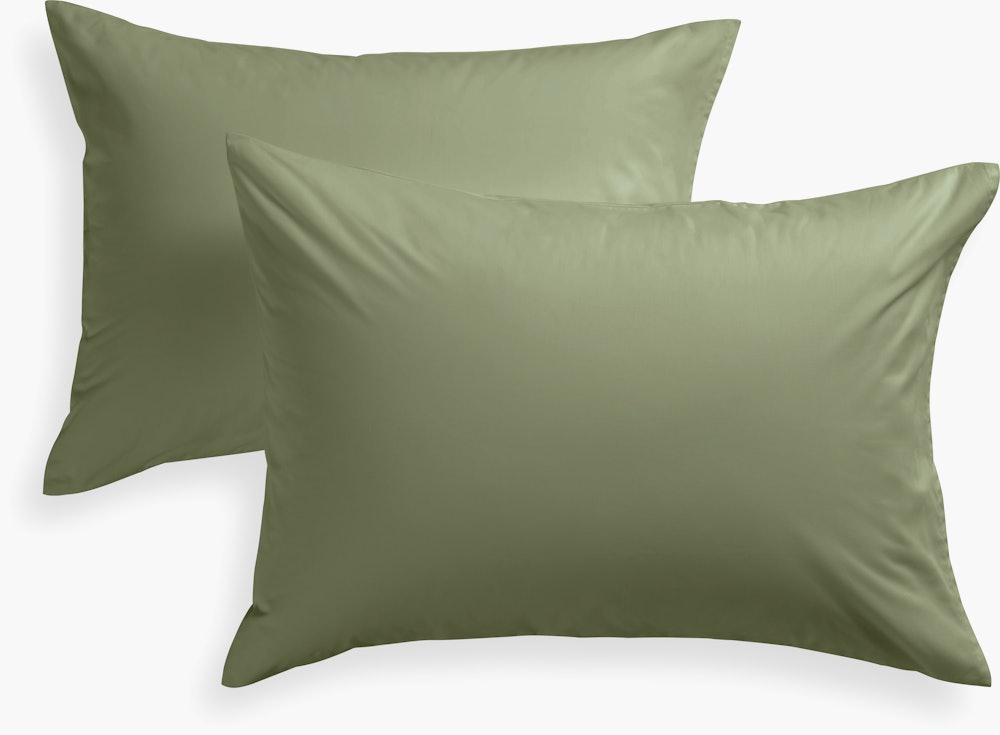 Design Within Reach Sham Set - Percale,  Standard,  moss