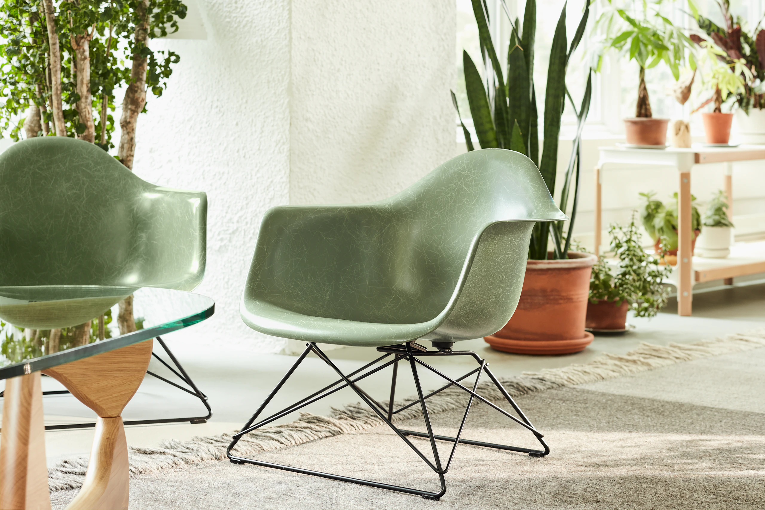 Two Eames Molded Fiberglass Armchairs with low wire bases in a casual living setting next to a Noguchi Table.