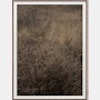 Golden No. 8836 by Cas Friese,  30 x 40,  Walnut Frame