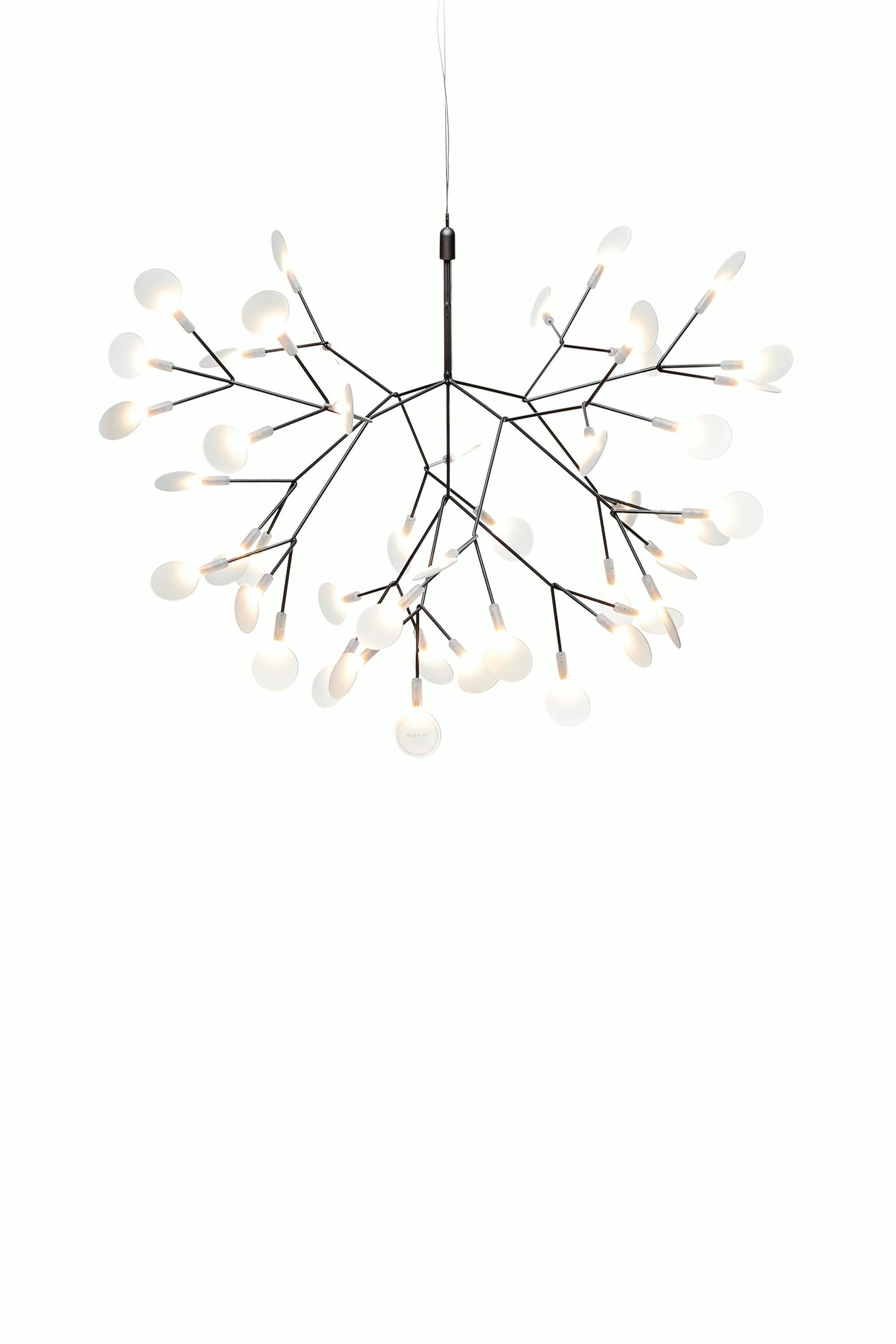 Heracleum III Pendant