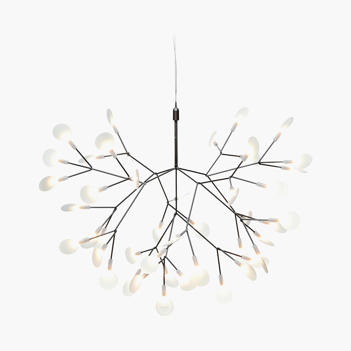 Heracleum III Pendant Heracleum III Pendant
