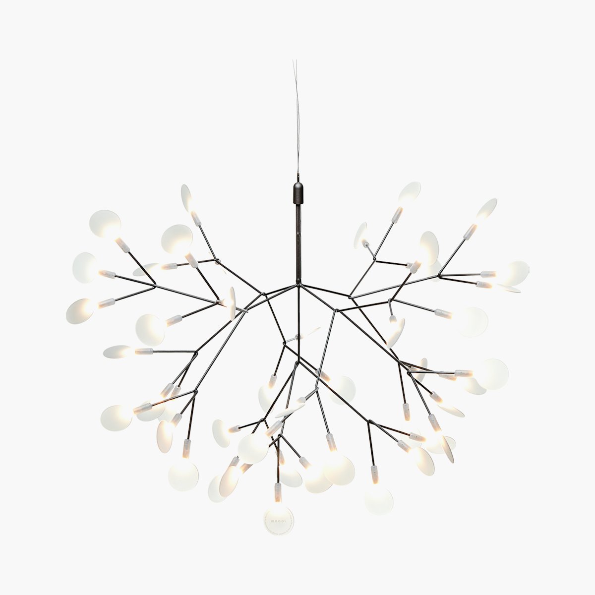 Heracleum III Pendant