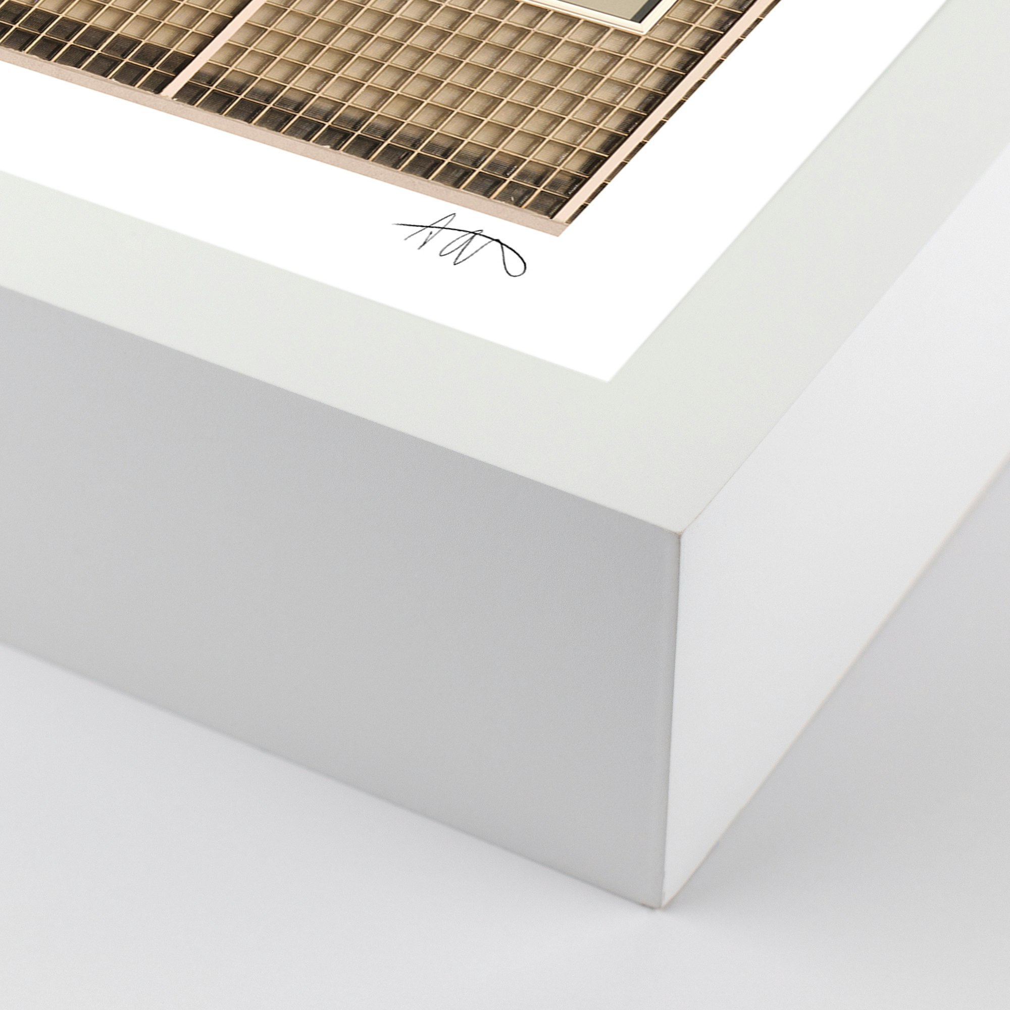 Untitled (UNAM I),  Mexico City,  2024  - 40x60