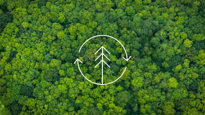 A white line drawing of a tree that represents sourcing better materials, overlaying a background of a green forest.