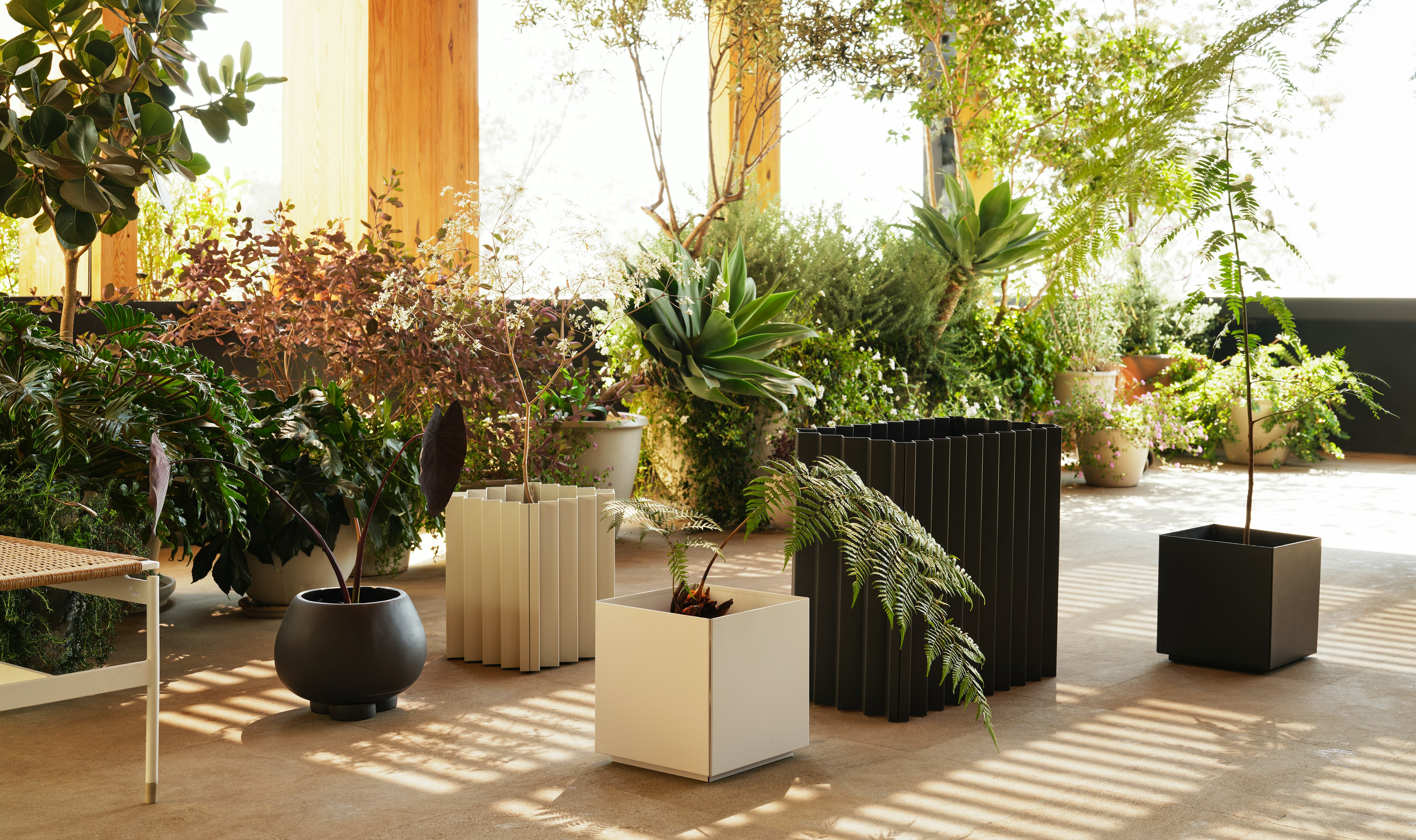 Planters + Pots