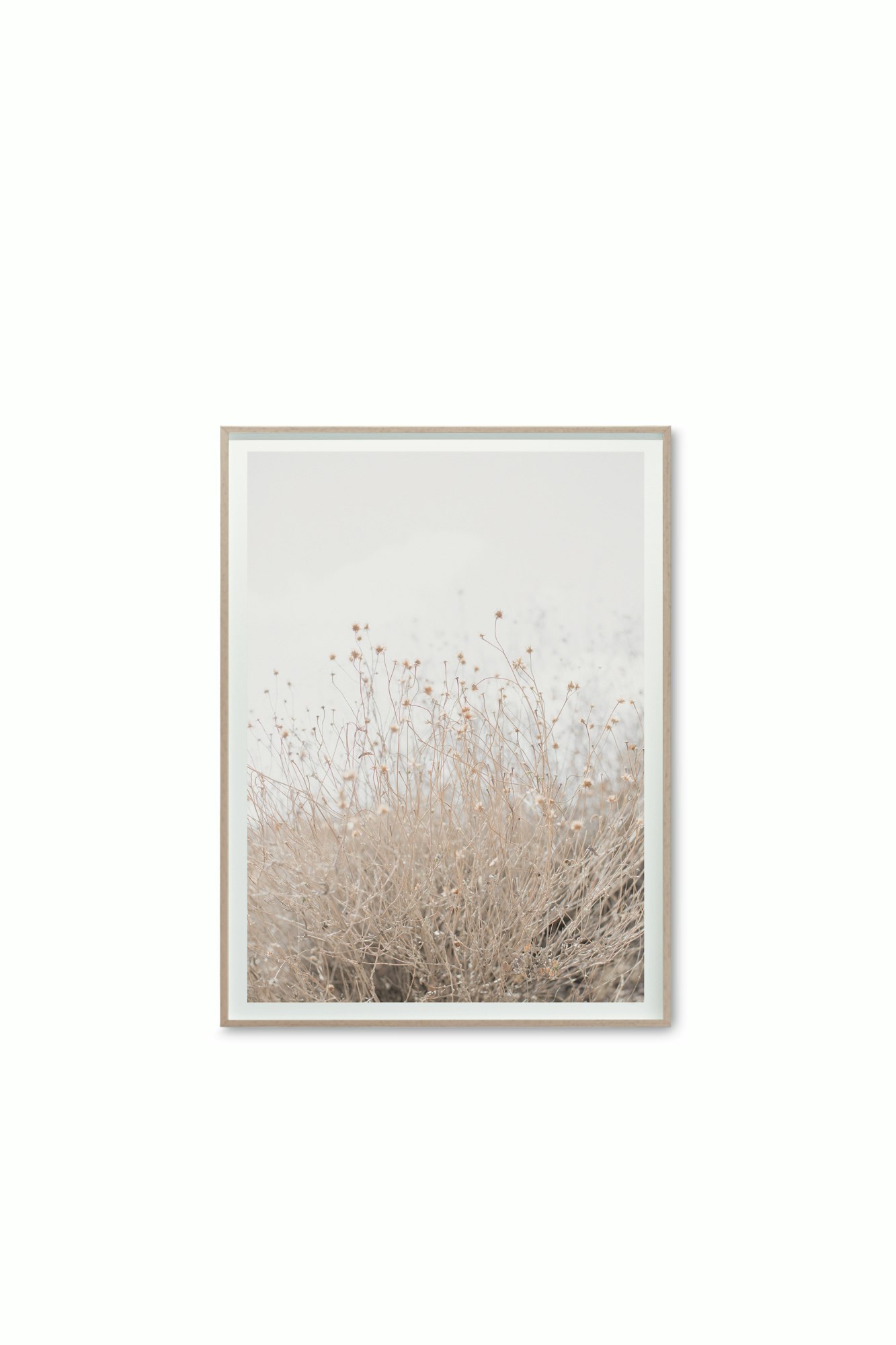 Cas Friese Desert Flora no.0996 - 30x40