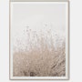 Cas Friese Desert Flora no.0996 - 30x40