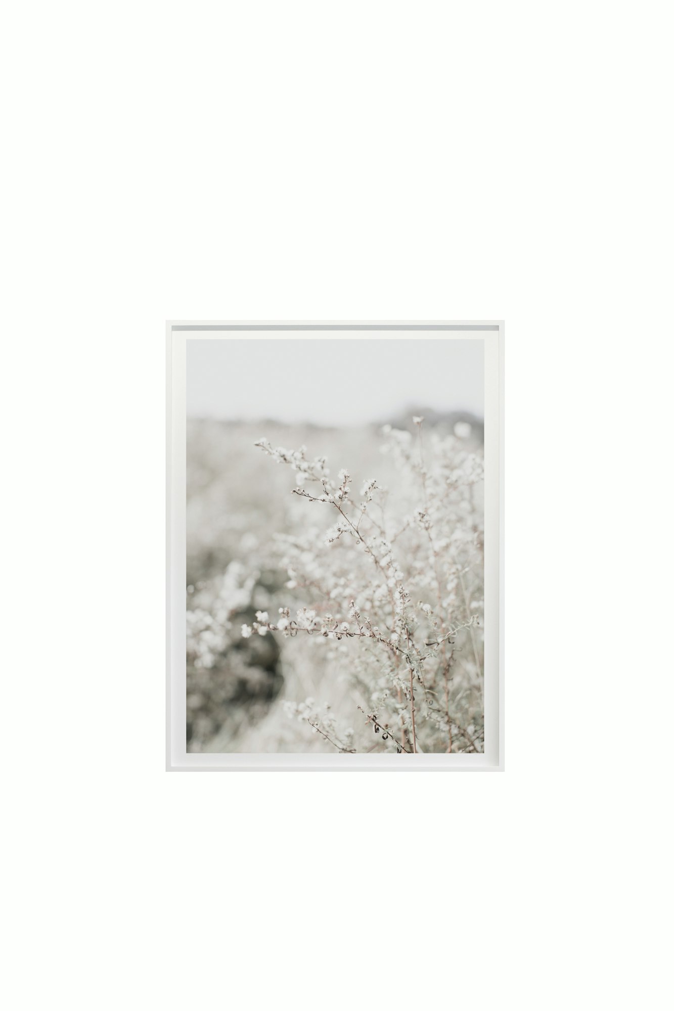 Fields and Flora No. 5664 by Cas Friese - 30x40