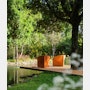 Bluff Chair