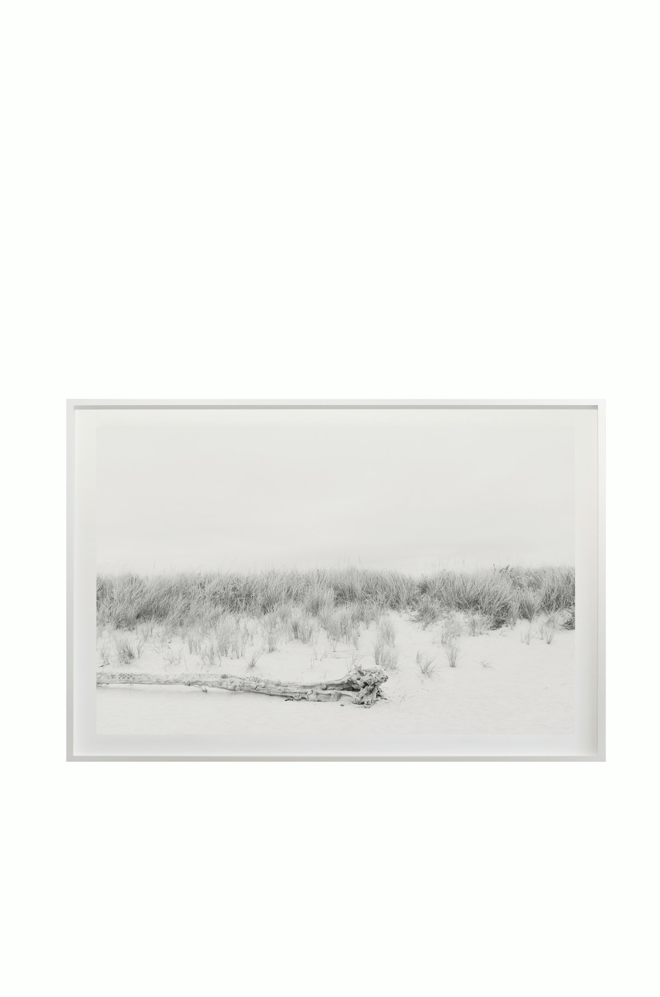 Cas Friese Dunes no.1420