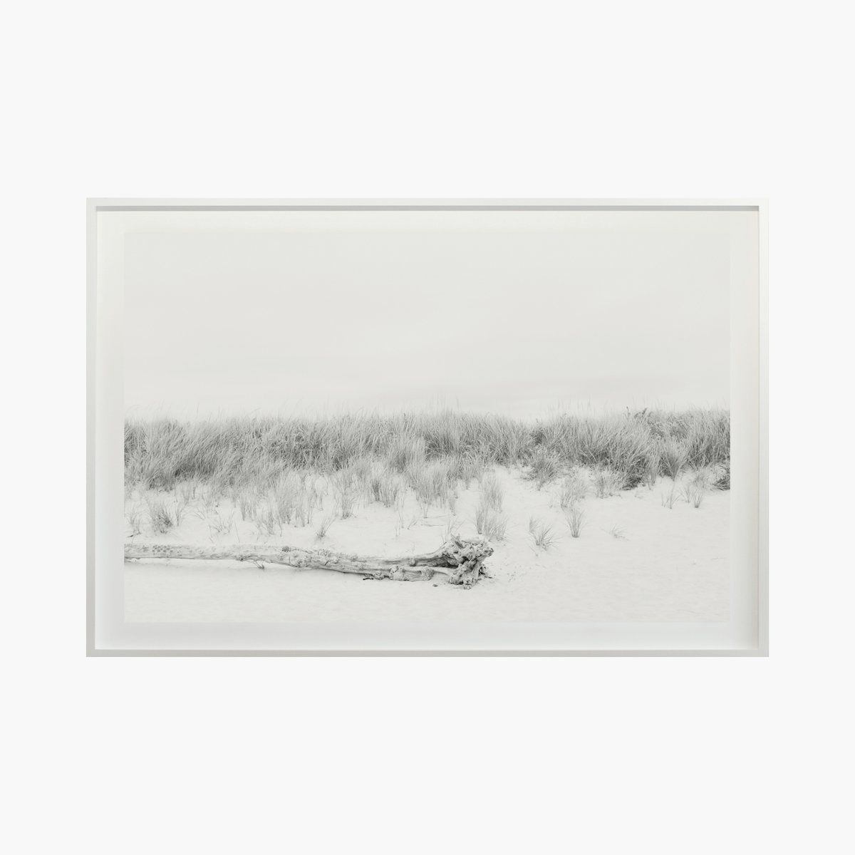 “Dunes No. 1420” by Cas Friese