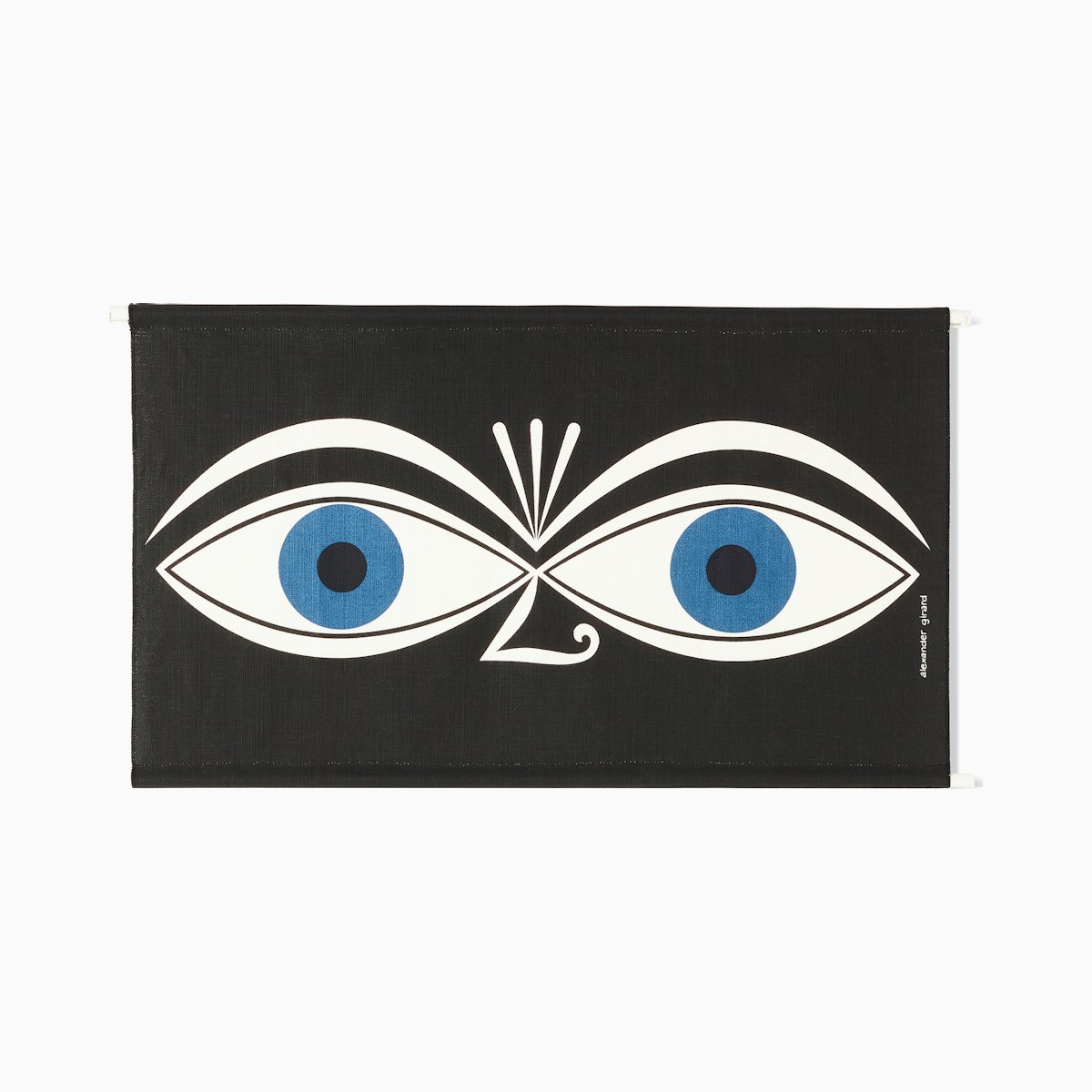 Girard Environmental Enrichment Panel - Eyes