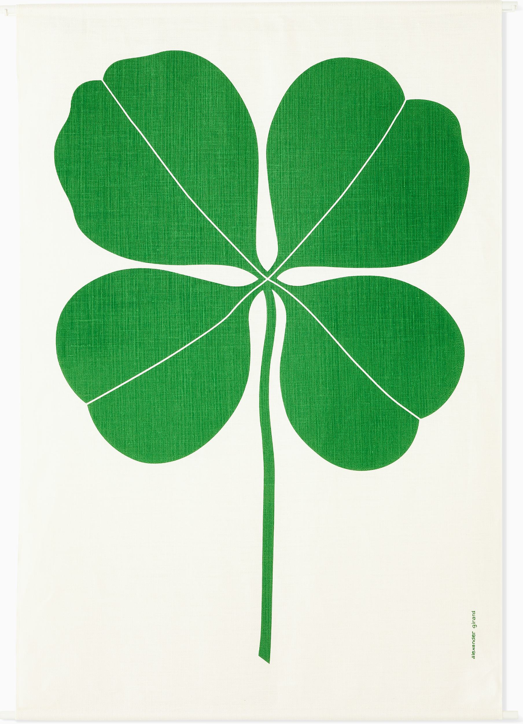 How to Take Care of Four-Leaf Clovers