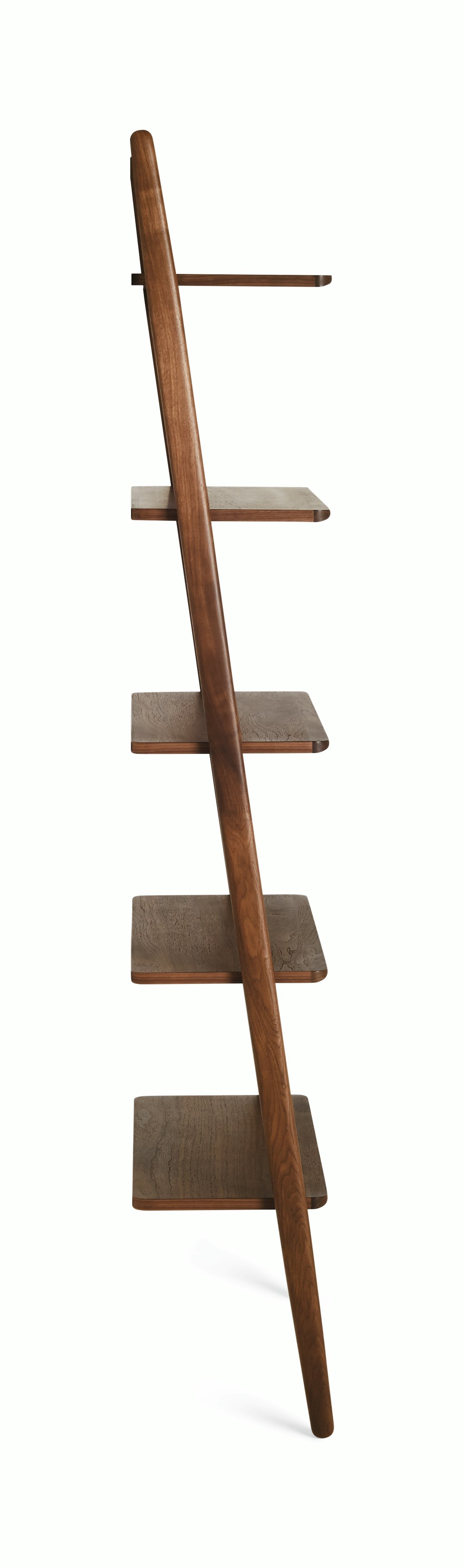 Folk Ladder Shelving