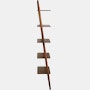 Folk Ladder Shelving