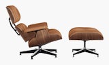 Eames Lounge & Ottoman Eames Lounge & Ottoman