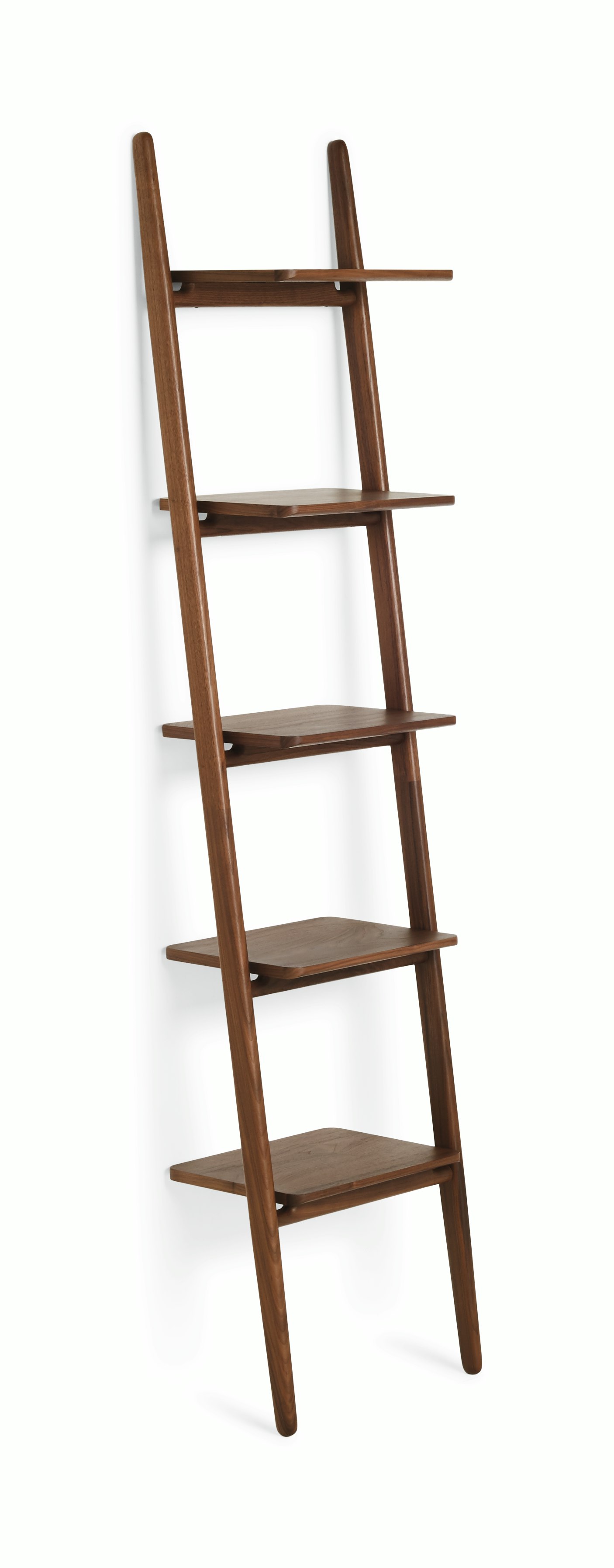 Folk Ladder Shelving