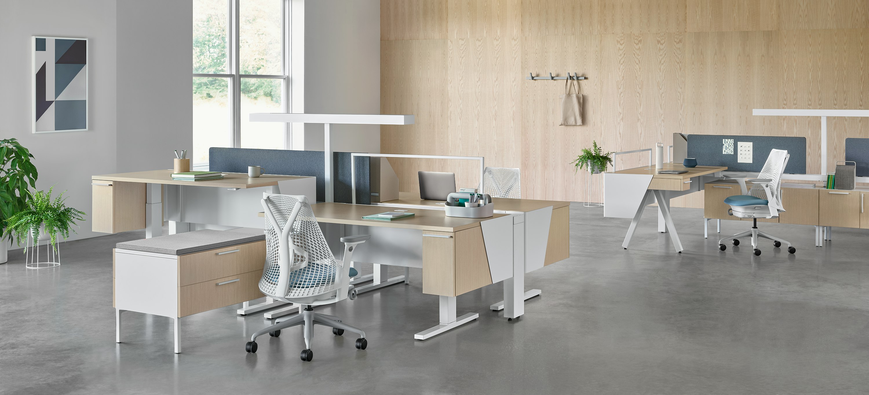 Canvas Vista benching application in the foreground and Canvas Vista desking application in the background, both with white and blue Sayl chairs.