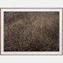 Golden No. 8835 by Cas Friese,  30 x 40,  Walnut Frame