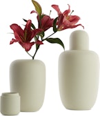 Apothecary Vases